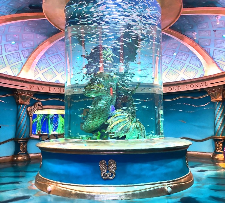 Aquarium at the Boardwalk (Branson,&nbspMO)